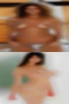 Horny Stuttgart