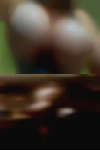 Cougars body fucking lads