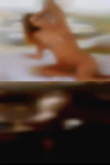 Live sex show swingers