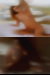 Swinger contact