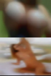 Girls that fuck Carlisle