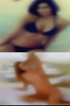 Milwaukee housewives exposed