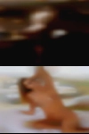 Nude girls Montrose