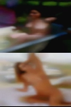 Women who want fuck Kermit