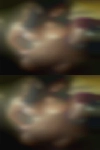 Nude women from Marion