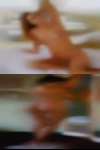 Escorts that fuck Palmdale