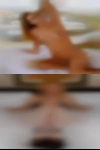 Hairy pussy women looking sex