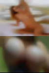 Horny women Olean