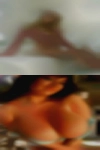 Where find pussy Leesville